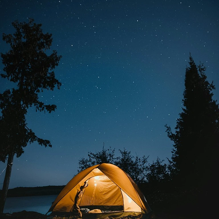 Dog friendly hiking near me