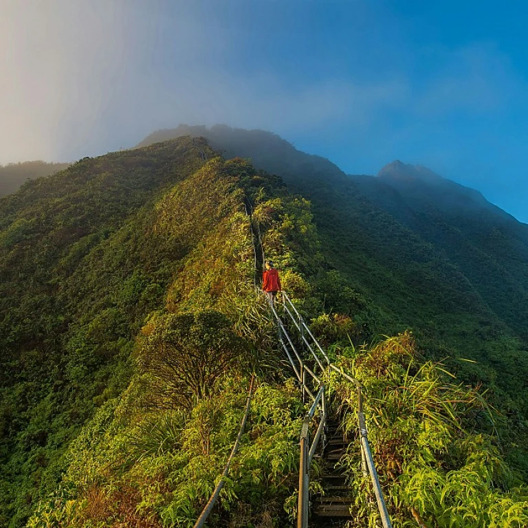 Spider shoes: the ultimate guide for hiking and trekking enthusiasts