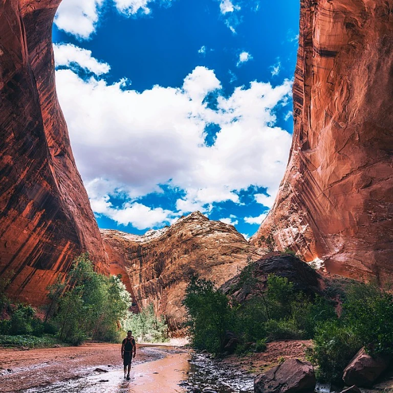 Exploring the Weather at Zion National Park