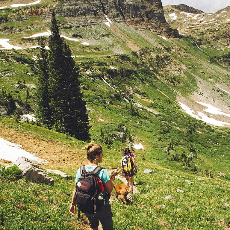 Exploring the Wonders of Zion National Park's Trails